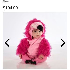Pottery Barn Flamingo Halloween costume